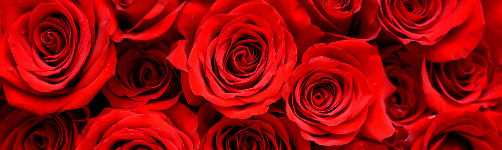 marco island florist gift cards marco island florist gift cards