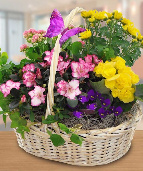 Blooming Garden Basket Marco Island Florst Naples