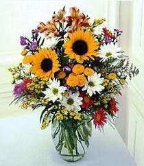 A Sunflower Surprise Sunflowers Delphinium Orted Filler A Sunflower Surprise Sunflowers Delphinium Orted Filler Flowers Marco Island Flower Florida Fl Naples Delivery