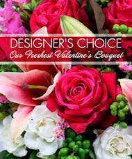 Designer's Choice - Premium