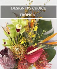 Designer's Choice - Tropical Design