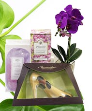 Norman Love Relaxation Box