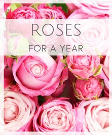 Roses For A Year Marco Island Monthly Flower Delivery