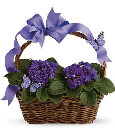 African Violet Basket