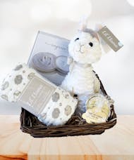 Little Baby Llama Gift Basket