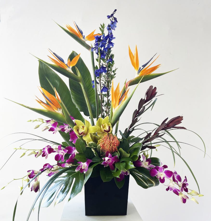 Florida Sunset Flowers Marco Island Tropical Flower Delivery