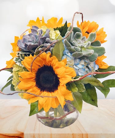 Sunflowers and Succulents
