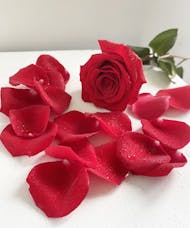 Romantic Rose Petals (Hand Picked )