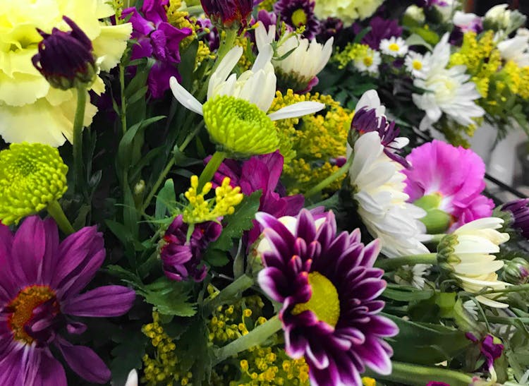A lovely assortment of green, yellow, purple and white flowers